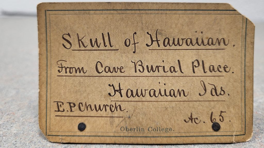 An antique label with the logo of Oberlin College and "Skull of Hawaiian, from Cave Burial Place. Hawaiian Ids. E.P. Church. Ac. 65" handwritten on it.